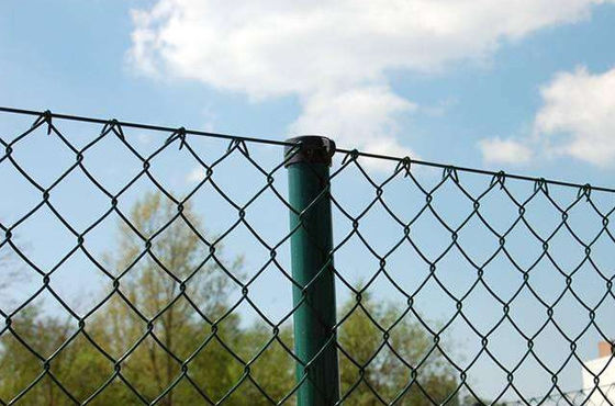 Diamand Galvanized Chain Link Fence 15cm Hole L5m